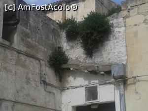[P56] Oase de animale care susțin jgheaburile. Ingenioși și ecologiști oamenii care au locuit în Sassi.  » foto by Aurici
 - 
<span class="allrVoted glyphicon glyphicon-heart hidden" id="av738505"></span>
<a class="m-l-10 hidden" id="sv738505" onclick="voting_Foto_DelVot(,738505,6642)" role="button">șterge vot <span class="glyphicon glyphicon-remove"></span></a>
<a id="v9738505" class=" c-red"  onclick="voting_Foto_SetVot(738505)" role="button"><span class="glyphicon glyphicon-heart-empty"></span> <b>LIKE</b> = Votează poza</a> <img class="hidden"  id="f738505W9" src="/imagini/loader.gif" border="0" /><span class="AjErrMes hidden" id="e738505ErM"></span>