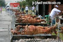 [P13] Eeeei , ce v-am povestit ! Cati sunt? ca n-am reusit sa-i numar .... » foto by TEOANCA
 - 
<span class="allrVoted glyphicon glyphicon-heart hidden" id="av156375"></span>
<a class="m-l-10 hidden" id="sv156375" onclick="voting_Foto_DelVot(,156375,6659)" role="button">șterge vot <span class="glyphicon glyphicon-remove"></span></a>
<a id="v9156375" class=" c-red"  onclick="voting_Foto_SetVot(156375)" role="button"><span class="glyphicon glyphicon-heart-empty"></span> <b>LIKE</b> = Votează poza</a> <img class="hidden"  id="f156375W9" src="/imagini/loader.gif" border="0" /><span class="AjErrMes hidden" id="e156375ErM"></span>