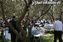 [P17] Petrecerea in gradina . Cand ajunsesem noi . » foto by TEOANCA
 - 
<span class="allrVoted glyphicon glyphicon-heart hidden" id="av156379"></span>
<a class="m-l-10 hidden" id="sv156379" onclick="voting_Foto_DelVot(,156379,6659)" role="button">șterge vot <span class="glyphicon glyphicon-remove"></span></a>
<a id="v9156379" class=" c-red"  onclick="voting_Foto_SetVot(156379)" role="button"><span class="glyphicon glyphicon-heart-empty"></span> <b>LIKE</b> = Votează poza</a> <img class="hidden"  id="f156379W9" src="/imagini/loader.gif" border="0" /><span class="AjErrMes hidden" id="e156379ErM"></span>