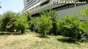 [P03] ceva citrice in spatele hotelului » foto by marianmm
 - 
<span class="allrVoted glyphicon glyphicon-heart hidden" id="av631701"></span>
<a class="m-l-10 hidden" id="sv631701" onclick="voting_Foto_DelVot(,631701,6659)" role="button">șterge vot <span class="glyphicon glyphicon-remove"></span></a>
<a id="v9631701" class=" c-red"  onclick="voting_Foto_SetVot(631701)" role="button"><span class="glyphicon glyphicon-heart-empty"></span> <b>LIKE</b> = Votează poza</a> <img class="hidden"  id="f631701W9" src="/imagini/loader.gif" border="0" /><span class="AjErrMes hidden" id="e631701ErM"></span>