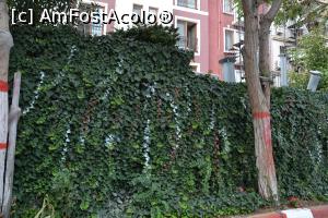 [P08] Curtea interioara,cu peretii "captusiti" de plante verzi.Aici a fost parcata masina » foto by Dorina9
 - 
<span class="allrVoted glyphicon glyphicon-heart hidden" id="av1152126"></span>
<a class="m-l-10 hidden" id="sv1152126" onclick="voting_Foto_DelVot(,1152126,6661)" role="button">șterge vot <span class="glyphicon glyphicon-remove"></span></a>
<a id="v91152126" class=" c-red"  onclick="voting_Foto_SetVot(1152126)" role="button"><span class="glyphicon glyphicon-heart-empty"></span> <b>LIKE</b> = Votează poza</a> <img class="hidden"  id="f1152126W9" src="/imagini/loader.gif" border="0" /><span class="AjErrMes hidden" id="e1152126ErM"></span>