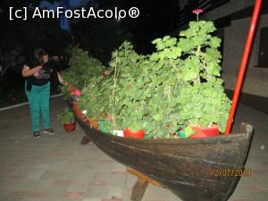 [P09] Luntrea cu flori » foto by Zoazore
 - 
<span class="allrVoted glyphicon glyphicon-heart hidden" id="av1100561"></span>
<a class="m-l-10 hidden" id="sv1100561" onclick="voting_Foto_DelVot(,1100561,6669)" role="button">șterge vot <span class="glyphicon glyphicon-remove"></span></a>
<a id="v91100561" class=" c-red"  onclick="voting_Foto_SetVot(1100561)" role="button"><span class="glyphicon glyphicon-heart-empty"></span> <b>LIKE</b> = Votează poza</a> <img class="hidden"  id="f1100561W9" src="/imagini/loader.gif" border="0" /><span class="AjErrMes hidden" id="e1100561ErM"></span>