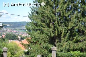 [P24] Vedere spre oras de la biserica sf Nicolae » foto by AZE
 - 
<span class="allrVoted glyphicon glyphicon-heart hidden" id="av1109501"></span>
<a class="m-l-10 hidden" id="sv1109501" onclick="voting_Foto_DelVot(,1109501,6675)" role="button">șterge vot <span class="glyphicon glyphicon-remove"></span></a>
<a id="v91109501" class=" c-red"  onclick="voting_Foto_SetVot(1109501)" role="button"><span class="glyphicon glyphicon-heart-empty"></span> <b>LIKE</b> = Votează poza</a> <img class="hidden"  id="f1109501W9" src="/imagini/loader.gif" border="0" /><span class="AjErrMes hidden" id="e1109501ErM"></span>
