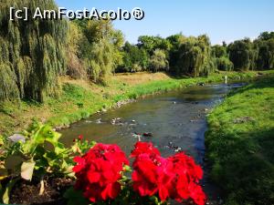 [P19] Târnava Mare văzută de pe podețul de lemn din capătul parcului » foto by crismis
 - 
<span class="allrVoted glyphicon glyphicon-heart hidden" id="av1197985"></span>
<a class="m-l-10 hidden" id="sv1197985" onclick="voting_Foto_DelVot(,1197985,6675)" role="button">șterge vot <span class="glyphicon glyphicon-remove"></span></a>
<a id="v91197985" class=" c-red"  onclick="voting_Foto_SetVot(1197985)" role="button"><span class="glyphicon glyphicon-heart-empty"></span> <b>LIKE</b> = Votează poza</a> <img class="hidden"  id="f1197985W9" src="/imagini/loader.gif" border="0" /><span class="AjErrMes hidden" id="e1197985ErM"></span>