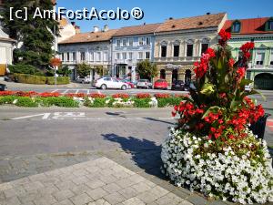 [P06] Flori în centrul orașului » foto by crismis
 - 
<span class="allrVoted glyphicon glyphicon-heart hidden" id="av1197972"></span>
<a class="m-l-10 hidden" id="sv1197972" onclick="voting_Foto_DelVot(,1197972,6675)" role="button">șterge vot <span class="glyphicon glyphicon-remove"></span></a>
<a id="v91197972" class=" c-red"  onclick="voting_Foto_SetVot(1197972)" role="button"><span class="glyphicon glyphicon-heart-empty"></span> <b>LIKE</b> = Votează poza</a> <img class="hidden"  id="f1197972W9" src="/imagini/loader.gif" border="0" /><span class="AjErrMes hidden" id="e1197972ErM"></span>