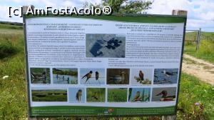 [P18] Panou turisitic informativ referitor la Rezervația ”Popasul Păsărilor” de la Sânpaul » foto by Lucien
 - 
<span class="allrVoted glyphicon glyphicon-heart hidden" id="av965057"></span>
<a class="m-l-10 hidden" id="sv965057" onclick="voting_Foto_DelVot(,965057,6675)" role="button">șterge vot <span class="glyphicon glyphicon-remove"></span></a>
<a id="v9965057" class=" c-red"  onclick="voting_Foto_SetVot(965057)" role="button"><span class="glyphicon glyphicon-heart-empty"></span> <b>LIKE</b> = Votează poza</a> <img class="hidden"  id="f965057W9" src="/imagini/loader.gif" border="0" /><span class="AjErrMes hidden" id="e965057ErM"></span>