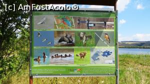 [P19] Alt panou turistic informativ referitor la Rezervația ”Popasul Păsărilor” de la Sânpaul » foto by Lucien
 - 
<span class="allrVoted glyphicon glyphicon-heart hidden" id="av965060"></span>
<a class="m-l-10 hidden" id="sv965060" onclick="voting_Foto_DelVot(,965060,6675)" role="button">șterge vot <span class="glyphicon glyphicon-remove"></span></a>
<a id="v9965060" class=" c-red"  onclick="voting_Foto_SetVot(965060)" role="button"><span class="glyphicon glyphicon-heart-empty"></span> <b>LIKE</b> = Votează poza</a> <img class="hidden"  id="f965060W9" src="/imagini/loader.gif" border="0" /><span class="AjErrMes hidden" id="e965060ErM"></span>