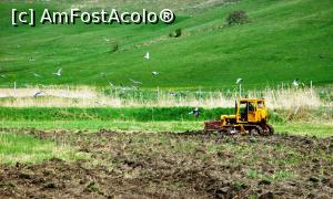 [P03] Zburătoare atacând un buldozer. Probabil că păsările încearcă să profite de gângăniile aduse la zi de plugul tras de buldozer.  » foto by Lucien
 - 
<span class="allrVoted glyphicon glyphicon-heart hidden" id="av965039"></span>
<a class="m-l-10 hidden" id="sv965039" onclick="voting_Foto_DelVot(,965039,6675)" role="button">șterge vot <span class="glyphicon glyphicon-remove"></span></a>
<a id="v9965039" class=" c-red"  onclick="voting_Foto_SetVot(965039)" role="button"><span class="glyphicon glyphicon-heart-empty"></span> <b>LIKE</b> = Votează poza</a> <img class="hidden"  id="f965039W9" src="/imagini/loader.gif" border="0" /><span class="AjErrMes hidden" id="e965039ErM"></span>
