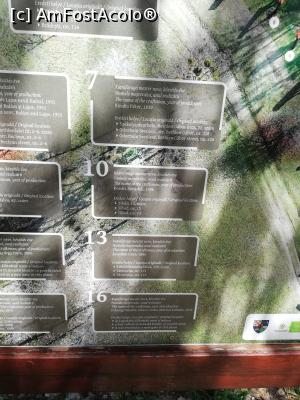 [P05] Galeria Porților Secuiești » foto by ⭐ValentinB_88⭐
 - 
<span class="allrVoted glyphicon glyphicon-heart hidden" id="av1319405"></span>
<a class="m-l-10 hidden" id="sv1319405" onclick="voting_Foto_DelVot(,1319405,6675)" role="button">șterge vot <span class="glyphicon glyphicon-remove"></span></a>
<a id="v91319405" class=" c-red"  onclick="voting_Foto_SetVot(1319405)" role="button"><span class="glyphicon glyphicon-heart-empty"></span> <b>LIKE</b> = Votează poza</a> <img class="hidden"  id="f1319405W9" src="/imagini/loader.gif" border="0" /><span class="AjErrMes hidden" id="e1319405ErM"></span>