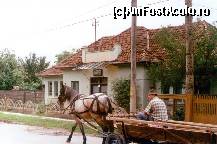 [P01] Carutele mai trec si azi prin fata baii Gyarfas, dar fara pacienti » foto by dorgo
 - 
<span class="allrVoted glyphicon glyphicon-heart hidden" id="av106958"></span>
<a class="m-l-10 hidden" id="sv106958" onclick="voting_Foto_DelVot(,106958,6675)" role="button">șterge vot <span class="glyphicon glyphicon-remove"></span></a>
<a id="v9106958" class=" c-red"  onclick="voting_Foto_SetVot(106958)" role="button"><span class="glyphicon glyphicon-heart-empty"></span> <b>LIKE</b> = Votează poza</a> <img class="hidden"  id="f106958W9" src="/imagini/loader.gif" border="0" /><span class="AjErrMes hidden" id="e106958ErM"></span>