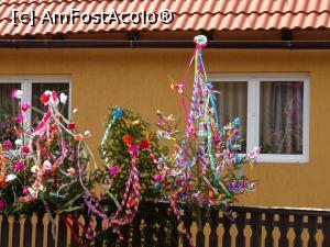 [P20] Brazi decorați de Paștele catolic - zona Praid. » foto by tata123 🔱
 - 
<span class="allrVoted glyphicon glyphicon-heart hidden" id="av1278503"></span>
<a class="m-l-10 hidden" id="sv1278503" onclick="voting_Foto_DelVot(,1278503,6675)" role="button">șterge vot <span class="glyphicon glyphicon-remove"></span></a>
<a id="v91278503" class=" c-red"  onclick="voting_Foto_SetVot(1278503)" role="button"><span class="glyphicon glyphicon-heart-empty"></span> <b>LIKE</b> = Votează poza</a> <img class="hidden"  id="f1278503W9" src="/imagini/loader.gif" border="0" /><span class="AjErrMes hidden" id="e1278503ErM"></span>