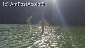 [P13] Lacul Rosu - copaci pietrificati in lumina asfintitului » foto by Cati62
 - 
<span class="allrVoted glyphicon glyphicon-heart hidden" id="av964673"></span>
<a class="m-l-10 hidden" id="sv964673" onclick="voting_Foto_DelVot(,964673,6675)" role="button">șterge vot <span class="glyphicon glyphicon-remove"></span></a>
<a id="v9964673" class=" c-red"  onclick="voting_Foto_SetVot(964673)" role="button"><span class="glyphicon glyphicon-heart-empty"></span> <b>LIKE</b> = Votează poza</a> <img class="hidden"  id="f964673W9" src="/imagini/loader.gif" border="0" /><span class="AjErrMes hidden" id="e964673ErM"></span>