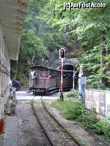 [P16] Mocanita are si conductor. » foto by presario
 - 
<span class="allrVoted glyphicon glyphicon-heart hidden" id="av132637"></span>
<a class="m-l-10 hidden" id="sv132637" onclick="voting_Foto_DelVot(,132637,6695)" role="button">șterge vot <span class="glyphicon glyphicon-remove"></span></a>
<a id="v9132637" class=" c-red"  onclick="voting_Foto_SetVot(132637)" role="button"><span class="glyphicon glyphicon-heart-empty"></span> <b>LIKE</b> = Votează poza</a> <img class="hidden"  id="f132637W9" src="/imagini/loader.gif" border="0" /><span class="AjErrMes hidden" id="e132637ErM"></span>