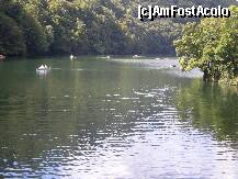 [P06] Lillafured - lacul Hamori, la poalele hotelului. » foto by presario
 - 
<span class="allrVoted glyphicon glyphicon-heart hidden" id="av132626"></span>
<a class="m-l-10 hidden" id="sv132626" onclick="voting_Foto_DelVot(,132626,6695)" role="button">șterge vot <span class="glyphicon glyphicon-remove"></span></a>
<a id="v9132626" class=" c-red"  onclick="voting_Foto_SetVot(132626)" role="button"><span class="glyphicon glyphicon-heart-empty"></span> <b>LIKE</b> = Votează poza</a> <img class="hidden"  id="f132626W9" src="/imagini/loader.gif" border="0" /><span class="AjErrMes hidden" id="e132626ErM"></span>