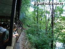 [P02] Traseul strabate padurea -parcul - asa ca decorul rustic e asigurat ... » foto by rodik
 - 
<span class="allrVoted glyphicon glyphicon-heart hidden" id="av107200"></span>
<a class="m-l-10 hidden" id="sv107200" onclick="voting_Foto_DelVot(,107200,6695)" role="button">șterge vot <span class="glyphicon glyphicon-remove"></span></a>
<a id="v9107200" class=" c-red"  onclick="voting_Foto_SetVot(107200)" role="button"><span class="glyphicon glyphicon-heart-empty"></span> <b>LIKE</b> = Votează poza</a> <img class="hidden"  id="f107200W9" src="/imagini/loader.gif" border="0" /><span class="AjErrMes hidden" id="e107200ErM"></span>