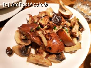 [P18] Taller de Tapas; ciuperci de pădure » foto by crismis
 - 
<span class="allrVoted glyphicon glyphicon-heart hidden" id="av1142668"></span>
<a class="m-l-10 hidden" id="sv1142668" onclick="voting_Foto_DelVot(,1142668,6706)" role="button">șterge vot <span class="glyphicon glyphicon-remove"></span></a>
<a id="v91142668" class=" c-red"  onclick="voting_Foto_SetVot(1142668)" role="button"><span class="glyphicon glyphicon-heart-empty"></span> <b>LIKE</b> = Votează poza</a> <img class="hidden"  id="f1142668W9" src="/imagini/loader.gif" border="0" /><span class="AjErrMes hidden" id="e1142668ErM"></span>