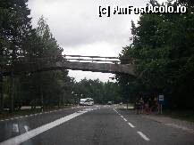 [P20] La intoarcere, din nou langa Plitvice, suntem langa intrarea principala. » foto by velker tiberiu
 - 
<span class="allrVoted glyphicon glyphicon-heart hidden" id="av196245"></span>
<a class="m-l-10 hidden" id="sv196245" onclick="voting_Foto_DelVot(,196245,6716)" role="button">șterge vot <span class="glyphicon glyphicon-remove"></span></a>
<a id="v9196245" class=" c-red"  onclick="voting_Foto_SetVot(196245)" role="button"><span class="glyphicon glyphicon-heart-empty"></span> <b>LIKE</b> = Votează poza</a> <img class="hidden"  id="f196245W9" src="/imagini/loader.gif" border="0" /><span class="AjErrMes hidden" id="e196245ErM"></span>