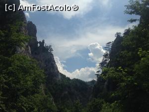 [P26] Chei în Parcul Național Sutjeska, Bosnia-Herțegovina.  » foto by Aurici
 - 
<span class="allrVoted glyphicon glyphicon-heart hidden" id="av988308"></span>
<a class="m-l-10 hidden" id="sv988308" onclick="voting_Foto_DelVot(,988308,6716)" role="button">șterge vot <span class="glyphicon glyphicon-remove"></span></a>
<a id="v9988308" class=" c-red"  onclick="voting_Foto_SetVot(988308)" role="button"><span class="glyphicon glyphicon-heart-empty"></span> <b>LIKE</b> = Votează poza</a> <img class="hidden"  id="f988308W9" src="/imagini/loader.gif" border="0" /><span class="AjErrMes hidden" id="e988308ErM"></span>