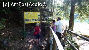[P01] De aici, de lângă poiana situată la confluența Chirui - Tolvajos, începe poteca tematică Piatra Colibei » foto by Lucien
 - 
<span class="allrVoted glyphicon glyphicon-heart hidden" id="av1006855"></span>
<a class="m-l-10 hidden" id="sv1006855" onclick="voting_Foto_DelVot(,1006855,6723)" role="button">șterge vot <span class="glyphicon glyphicon-remove"></span></a>
<a id="v91006855" class=" c-red"  onclick="voting_Foto_SetVot(1006855)" role="button"><span class="glyphicon glyphicon-heart-empty"></span> <b>LIKE</b> = Votează poza</a> <img class="hidden"  id="f1006855W9" src="/imagini/loader.gif" border="0" /><span class="AjErrMes hidden" id="e1006855ErM"></span>