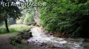 [P02] Pârâul Tolvajos (Tâlharilor) în zona confluenței cu Pârâul Chirui, lângă poiana cu izvorul mineral și lângă stâncăria ce reprezintă deliciul pictorilor. Se vede puntea cu care începe poteca tematică Piatra Colibei.  » foto by Lucien
 - 
<span class="allrVoted glyphicon glyphicon-heart hidden" id="av1006859"></span>
<a class="m-l-10 hidden" id="sv1006859" onclick="voting_Foto_DelVot(,1006859,6723)" role="button">șterge vot <span class="glyphicon glyphicon-remove"></span></a>
<a id="v91006859" class=" c-red"  onclick="voting_Foto_SetVot(1006859)" role="button"><span class="glyphicon glyphicon-heart-empty"></span> <b>LIKE</b> = Votează poza</a> <img class="hidden"  id="f1006859W9" src="/imagini/loader.gif" border="0" /><span class="AjErrMes hidden" id="e1006859ErM"></span>