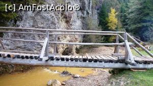 [P23] Pârâul Tolvajos în zona punții de la care începe poteca tematică Piatra Colibei » foto by Lucien
 - 
<span class="allrVoted glyphicon glyphicon-heart hidden" id="av1006906"></span>
<a class="m-l-10 hidden" id="sv1006906" onclick="voting_Foto_DelVot(,1006906,6723)" role="button">șterge vot <span class="glyphicon glyphicon-remove"></span></a>
<a id="v91006906" class=" c-red"  onclick="voting_Foto_SetVot(1006906)" role="button"><span class="glyphicon glyphicon-heart-empty"></span> <b>LIKE</b> = Votează poza</a> <img class="hidden"  id="f1006906W9" src="/imagini/loader.gif" border="0" /><span class="AjErrMes hidden" id="e1006906ErM"></span>