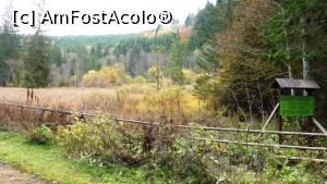 [P25] Rezervația naturală Dumbrava Hargitei la început de toamnă.  » foto by Lucien
 - 
<span class="allrVoted glyphicon glyphicon-heart hidden" id="av1006908"></span>
<a class="m-l-10 hidden" id="sv1006908" onclick="voting_Foto_DelVot(,1006908,6723)" role="button">șterge vot <span class="glyphicon glyphicon-remove"></span></a>
<a id="v91006908" class=" c-red"  onclick="voting_Foto_SetVot(1006908)" role="button"><span class="glyphicon glyphicon-heart-empty"></span> <b>LIKE</b> = Votează poza</a> <img class="hidden"  id="f1006908W9" src="/imagini/loader.gif" border="0" /><span class="AjErrMes hidden" id="e1006908ErM"></span>