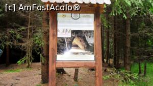 [P29] Panou turistic informativ de pe traseul potecii tematice Piatra Colibei. Este chiar punctul 4 de observație, cel care dă nume potecii tematice.  » foto by Lucien
 - 
<span class="allrVoted glyphicon glyphicon-heart hidden" id="av1006912"></span>
<a class="m-l-10 hidden" id="sv1006912" onclick="voting_Foto_DelVot(,1006912,6723)" role="button">șterge vot <span class="glyphicon glyphicon-remove"></span></a>
<a id="v91006912" class=" c-red"  onclick="voting_Foto_SetVot(1006912)" role="button"><span class="glyphicon glyphicon-heart-empty"></span> <b>LIKE</b> = Votează poza</a> <img class="hidden"  id="f1006912W9" src="/imagini/loader.gif" border="0" /><span class="AjErrMes hidden" id="e1006912ErM"></span>