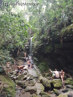 [P09] Padurea Tijuca » foto by geop
 - 
<span class="allrVoted glyphicon glyphicon-heart hidden" id="av1050243"></span>
<a class="m-l-10 hidden" id="sv1050243" onclick="voting_Foto_DelVot(,1050243,6730)" role="button">șterge vot <span class="glyphicon glyphicon-remove"></span></a>
<a id="v91050243" class=" c-red"  onclick="voting_Foto_SetVot(1050243)" role="button"><span class="glyphicon glyphicon-heart-empty"></span> <b>LIKE</b> = Votează poza</a> <img class="hidden"  id="f1050243W9" src="/imagini/loader.gif" border="0" /><span class="AjErrMes hidden" id="e1050243ErM"></span>