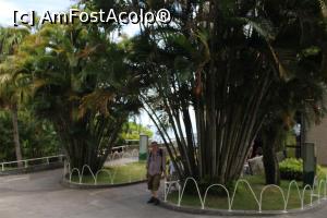 [P44] Rio de Janeiro, Morro da Urca, în plan secund în stânga se vede coborârea spre Via Verde, potecă turistică, aș fi mers pe acolo dar timpul...  » foto by mprofeanu
 - 
<span class="allrVoted glyphicon glyphicon-heart hidden" id="av1100453"></span>
<a class="m-l-10 hidden" id="sv1100453" onclick="voting_Foto_DelVot(,1100453,6730)" role="button">șterge vot <span class="glyphicon glyphicon-remove"></span></a>
<a id="v91100453" class=" c-red"  onclick="voting_Foto_SetVot(1100453)" role="button"><span class="glyphicon glyphicon-heart-empty"></span> <b>LIKE</b> = Votează poza</a> <img class="hidden"  id="f1100453W9" src="/imagini/loader.gif" border="0" /><span class="AjErrMes hidden" id="e1100453ErM"></span>