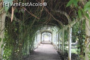 [P11] Rio de Janeiro, Grădina Botanică, Bulevardul Grădina Botanică » foto by mprofeanu
 - 
<span class="allrVoted glyphicon glyphicon-heart hidden" id="av1154921"></span>
<a class="m-l-10 hidden" id="sv1154921" onclick="voting_Foto_DelVot(,1154921,6730)" role="button">șterge vot <span class="glyphicon glyphicon-remove"></span></a>
<a id="v91154921" class=" c-red"  onclick="voting_Foto_SetVot(1154921)" role="button"><span class="glyphicon glyphicon-heart-empty"></span> <b>LIKE</b> = Votează poza</a> <img class="hidden"  id="f1154921W9" src="/imagini/loader.gif" border="0" /><span class="AjErrMes hidden" id="e1154921ErM"></span>