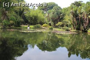 [P12] Rio de Janeiro, Grădina Botanică, Lacul Frei Leandro plin de nuferi » foto by mprofeanu
 - 
<span class="allrVoted glyphicon glyphicon-heart hidden" id="av1154922"></span>
<a class="m-l-10 hidden" id="sv1154922" onclick="voting_Foto_DelVot(,1154922,6730)" role="button">șterge vot <span class="glyphicon glyphicon-remove"></span></a>
<a id="v91154922" class=" c-red"  onclick="voting_Foto_SetVot(1154922)" role="button"><span class="glyphicon glyphicon-heart-empty"></span> <b>LIKE</b> = Votează poza</a> <img class="hidden"  id="f1154922W9" src="/imagini/loader.gif" border="0" /><span class="AjErrMes hidden" id="e1154922ErM"></span>