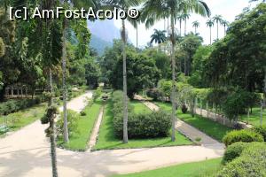 [P17] Rio de Janeiro, Grădina Botanică, Grădina văzută de sus de pe Colină » foto by mprofeanu
 - 
<span class="allrVoted glyphicon glyphicon-heart hidden" id="av1154927"></span>
<a class="m-l-10 hidden" id="sv1154927" onclick="voting_Foto_DelVot(,1154927,6730)" role="button">șterge vot <span class="glyphicon glyphicon-remove"></span></a>
<a id="v91154927" class=" c-red"  onclick="voting_Foto_SetVot(1154927)" role="button"><span class="glyphicon glyphicon-heart-empty"></span> <b>LIKE</b> = Votează poza</a> <img class="hidden"  id="f1154927W9" src="/imagini/loader.gif" border="0" /><span class="AjErrMes hidden" id="e1154927ErM"></span>