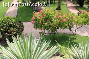 [P18] Rio de Janeiro, Grădina Botanică, un pic de culoare...  » foto by mprofeanu
 - 
<span class="allrVoted glyphicon glyphicon-heart hidden" id="av1154928"></span>
<a class="m-l-10 hidden" id="sv1154928" onclick="voting_Foto_DelVot(,1154928,6730)" role="button">șterge vot <span class="glyphicon glyphicon-remove"></span></a>
<a id="v91154928" class=" c-red"  onclick="voting_Foto_SetVot(1154928)" role="button"><span class="glyphicon glyphicon-heart-empty"></span> <b>LIKE</b> = Votează poza</a> <img class="hidden"  id="f1154928W9" src="/imagini/loader.gif" border="0" /><span class="AjErrMes hidden" id="e1154928ErM"></span>