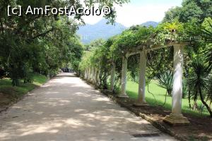 [P20] Rio de Janeiro, Frumoase alei, în fundal Parcul Național Tijuca, se vedea și Cristo Redentor destul de aproape, dar tot privindu-l am uitat să-l pozez...  » foto by mprofeanu
 - 
<span class="allrVoted glyphicon glyphicon-heart hidden" id="av1154930"></span>
<a class="m-l-10 hidden" id="sv1154930" onclick="voting_Foto_DelVot(,1154930,6730)" role="button">șterge vot <span class="glyphicon glyphicon-remove"></span></a>
<a id="v91154930" class=" c-red"  onclick="voting_Foto_SetVot(1154930)" role="button"><span class="glyphicon glyphicon-heart-empty"></span> <b>LIKE</b> = Votează poza</a> <img class="hidden"  id="f1154930W9" src="/imagini/loader.gif" border="0" /><span class="AjErrMes hidden" id="e1154930ErM"></span>