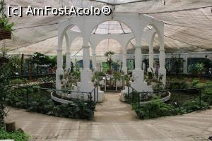 [P23] Rio de Janeiro, Grădina Botanică, Orhidarium, Interiorul » foto by mprofeanu
 - 
<span class="allrVoted glyphicon glyphicon-heart hidden" id="av1154933"></span>
<a class="m-l-10 hidden" id="sv1154933" onclick="voting_Foto_DelVot(,1154933,6730)" role="button">șterge vot <span class="glyphicon glyphicon-remove"></span></a>
<a id="v91154933" class=" c-red"  onclick="voting_Foto_SetVot(1154933)" role="button"><span class="glyphicon glyphicon-heart-empty"></span> <b>LIKE</b> = Votează poza</a> <img class="hidden"  id="f1154933W9" src="/imagini/loader.gif" border="0" /><span class="AjErrMes hidden" id="e1154933ErM"></span>