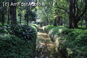 [P05] Rio de Janeiro, Grădina Botanică, Canal de apă de-a lungul Aleii Campos Porto... » foto by mprofeanu
 - 
<span class="allrVoted glyphicon glyphicon-heart hidden" id="av1154915"></span>
<a class="m-l-10 hidden" id="sv1154915" onclick="voting_Foto_DelVot(,1154915,6730)" role="button">șterge vot <span class="glyphicon glyphicon-remove"></span></a>
<a id="v91154915" class=" c-red"  onclick="voting_Foto_SetVot(1154915)" role="button"><span class="glyphicon glyphicon-heart-empty"></span> <b>LIKE</b> = Votează poza</a> <img class="hidden"  id="f1154915W9" src="/imagini/loader.gif" border="0" /><span class="AjErrMes hidden" id="e1154915ErM"></span>