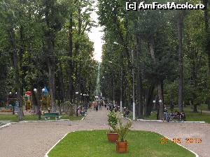 [P10] Pucioasa - Parcul Independenţei, pe aleea centrală.  » foto by iulianic
 - 
<span class="allrVoted glyphicon glyphicon-heart hidden" id="av632687"></span>
<a class="m-l-10 hidden" id="sv632687" onclick="voting_Foto_DelVot(,632687,6734)" role="button">șterge vot <span class="glyphicon glyphicon-remove"></span></a>
<a id="v9632687" class=" c-red"  onclick="voting_Foto_SetVot(632687)" role="button"><span class="glyphicon glyphicon-heart-empty"></span> <b>LIKE</b> = Votează poza</a> <img class="hidden"  id="f632687W9" src="/imagini/loader.gif" border="0" /><span class="AjErrMes hidden" id="e632687ErM"></span>