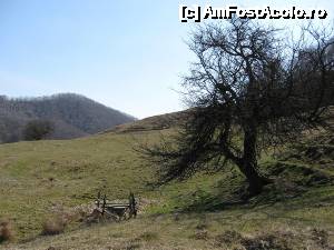 [P20] Plaiuri înainte de a intra în pădure.  » foto by tata123 🔱
 - 
<span class="allrVoted glyphicon glyphicon-heart hidden" id="av635782"></span>
<a class="m-l-10 hidden" id="sv635782" onclick="voting_Foto_DelVot(,635782,6734)" role="button">șterge vot <span class="glyphicon glyphicon-remove"></span></a>
<a id="v9635782" class=" c-red"  onclick="voting_Foto_SetVot(635782)" role="button"><span class="glyphicon glyphicon-heart-empty"></span> <b>LIKE</b> = Votează poza</a> <img class="hidden"  id="f635782W9" src="/imagini/loader.gif" border="0" /><span class="AjErrMes hidden" id="e635782ErM"></span>