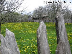 [P06] Peisaj de primăvară.  » foto by tata123 🔱
 - 
<span class="allrVoted glyphicon glyphicon-heart hidden" id="av616957"></span>
<a class="m-l-10 hidden" id="sv616957" onclick="voting_Foto_DelVot(,616957,6734)" role="button">șterge vot <span class="glyphicon glyphicon-remove"></span></a>
<a id="v9616957" class=" c-red"  onclick="voting_Foto_SetVot(616957)" role="button"><span class="glyphicon glyphicon-heart-empty"></span> <b>LIKE</b> = Votează poza</a> <img class="hidden"  id="f616957W9" src="/imagini/loader.gif" border="0" /><span class="AjErrMes hidden" id="e616957ErM"></span>