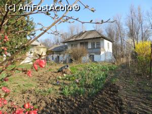 [P16] Casă tradițională, str. Tudor Vladimirescu - Pucioasa.  » foto by tata123 🔱
 - 
<span class="allrVoted glyphicon glyphicon-heart hidden" id="av858776"></span>
<a class="m-l-10 hidden" id="sv858776" onclick="voting_Foto_DelVot(,858776,6734)" role="button">șterge vot <span class="glyphicon glyphicon-remove"></span></a>
<a id="v9858776" class=" c-red"  onclick="voting_Foto_SetVot(858776)" role="button"><span class="glyphicon glyphicon-heart-empty"></span> <b>LIKE</b> = Votează poza</a> <img class="hidden"  id="f858776W9" src="/imagini/loader.gif" border="0" /><span class="AjErrMes hidden" id="e858776ErM"></span>
