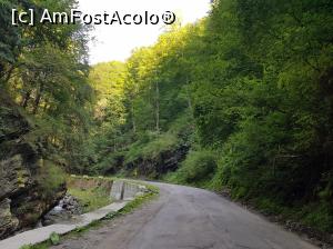 [P11] În apropiere de Petroșani, drumul este mai bun.  » foto by Floryn81
 - 
<span class="allrVoted glyphicon glyphicon-heart hidden" id="av1113340"></span>
<a class="m-l-10 hidden" id="sv1113340" onclick="voting_Foto_DelVot(,1113340,6743)" role="button">șterge vot <span class="glyphicon glyphicon-remove"></span></a>
<a id="v91113340" class=" c-red"  onclick="voting_Foto_SetVot(1113340)" role="button"><span class="glyphicon glyphicon-heart-empty"></span> <b>LIKE</b> = Votează poza</a> <img class="hidden"  id="f1113340W9" src="/imagini/loader.gif" border="0" /><span class="AjErrMes hidden" id="e1113340ErM"></span>