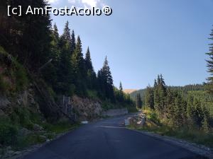 [P03] Pe DN 7A spre Petroșani, nu departe de Obârșia Lotrului.  » foto by Floryn81
 - 
<span class="allrVoted glyphicon glyphicon-heart hidden" id="av1113331"></span>
<a class="m-l-10 hidden" id="sv1113331" onclick="voting_Foto_DelVot(,1113331,6743)" role="button">șterge vot <span class="glyphicon glyphicon-remove"></span></a>
<a id="v91113331" class=" c-red"  onclick="voting_Foto_SetVot(1113331)" role="button"><span class="glyphicon glyphicon-heart-empty"></span> <b>LIKE</b> = Votează poza</a> <img class="hidden"  id="f1113331W9" src="/imagini/loader.gif" border="0" /><span class="AjErrMes hidden" id="e1113331ErM"></span>