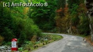 [P07] Cheile Jietului » foto by Michi
 - 
<span class="allrVoted glyphicon glyphicon-heart hidden" id="av1502458"></span>
<a class="m-l-10 hidden" id="sv1502458" onclick="voting_Foto_DelVot(,1502458,6743)" role="button">șterge vot <span class="glyphicon glyphicon-remove"></span></a>
<a id="v91502458" class=" c-red"  onclick="voting_Foto_SetVot(1502458)" role="button"><span class="glyphicon glyphicon-heart-empty"></span> <b>LIKE</b> = Votează poza</a> <img class="hidden"  id="f1502458W9" src="/imagini/loader.gif" border="0" /><span class="AjErrMes hidden" id="e1502458ErM"></span>