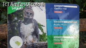 [P26]  -- <small>// FĂRĂ DESCRIERE</small> » foto by elenaadina
 - 
<span class="allrVoted glyphicon glyphicon-heart hidden" id="av1517889"></span>
<a class="m-l-10 hidden" id="sv1517889" onclick="voting_Foto_DelVot(,1517889,6751)" role="button">șterge vot <span class="glyphicon glyphicon-remove"></span></a>
<a id="v91517889" class=" c-red"  onclick="voting_Foto_SetVot(1517889)" role="button"><span class="glyphicon glyphicon-heart-empty"></span> <b>LIKE</b> = Votează poza</a> <img class="hidden"  id="f1517889W9" src="/imagini/loader.gif" border="0" /><span class="AjErrMes hidden" id="e1517889ErM"></span>