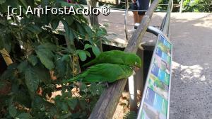 [P34] Parque das Aves » foto by elenaadina
 - 
<span class="allrVoted glyphicon glyphicon-heart hidden" id="av1517897"></span>
<a class="m-l-10 hidden" id="sv1517897" onclick="voting_Foto_DelVot(,1517897,6751)" role="button">șterge vot <span class="glyphicon glyphicon-remove"></span></a>
<a id="v91517897" class=" c-red"  onclick="voting_Foto_SetVot(1517897)" role="button"><span class="glyphicon glyphicon-heart-empty"></span> <b>LIKE</b> = Votează poza</a> <img class="hidden"  id="f1517897W9" src="/imagini/loader.gif" border="0" /><span class="AjErrMes hidden" id="e1517897ErM"></span>