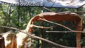 [P39]  -- <small>// FĂRĂ DESCRIERE</small> » foto by elenaadina
 - 
<span class="allrVoted glyphicon glyphicon-heart hidden" id="av1517902"></span>
<a class="m-l-10 hidden" id="sv1517902" onclick="voting_Foto_DelVot(,1517902,6751)" role="button">șterge vot <span class="glyphicon glyphicon-remove"></span></a>
<a id="v91517902" class=" c-red"  onclick="voting_Foto_SetVot(1517902)" role="button"><span class="glyphicon glyphicon-heart-empty"></span> <b>LIKE</b> = Votează poza</a> <img class="hidden"  id="f1517902W9" src="/imagini/loader.gif" border="0" /><span class="AjErrMes hidden" id="e1517902ErM"></span>