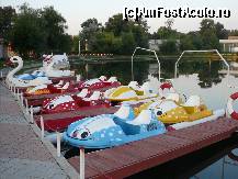 [P03] Hidrobicicletele de pe lac. In fundal (alb-rosu) se observa si pista de mini-kart. » foto by Claudiu U.
 - 
<span class="allrVoted glyphicon glyphicon-heart hidden" id="av110886"></span>
<a class="m-l-10 hidden" id="sv110886" onclick="voting_Foto_DelVot(,110886,6754)" role="button">șterge vot <span class="glyphicon glyphicon-remove"></span></a>
<a id="v9110886" class=" c-red"  onclick="voting_Foto_SetVot(110886)" role="button"><span class="glyphicon glyphicon-heart-empty"></span> <b>LIKE</b> = Votează poza</a> <img class="hidden"  id="f110886W9" src="/imagini/loader.gif" border="0" /><span class="AjErrMes hidden" id="e110886ErM"></span>