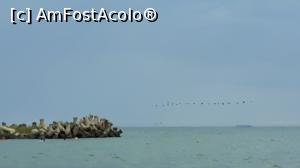 [P18] Stol de pasari in largul statiunii Cap Aurora » foto by BristenaBrad
 - 
<span class="allrVoted glyphicon glyphicon-heart hidden" id="av1097932"></span>
<a class="m-l-10 hidden" id="sv1097932" onclick="voting_Foto_DelVot(,1097932,6754)" role="button">șterge vot <span class="glyphicon glyphicon-remove"></span></a>
<a id="v91097932" class=" c-red"  onclick="voting_Foto_SetVot(1097932)" role="button"><span class="glyphicon glyphicon-heart-empty"></span> <b>LIKE</b> = Votează poza</a> <img class="hidden"  id="f1097932W9" src="/imagini/loader.gif" border="0" /><span class="AjErrMes hidden" id="e1097932ErM"></span>