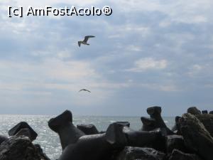 [P03] Marea este cea care ne atrage acolo, de fiecare dată...  » foto by tata123 🔱
 - 
<span class="allrVoted glyphicon glyphicon-heart hidden" id="av1013543"></span>
<a class="m-l-10 hidden" id="sv1013543" onclick="voting_Foto_DelVot(,1013543,6754)" role="button">șterge vot <span class="glyphicon glyphicon-remove"></span></a>
<a id="v91013543" class=" c-red"  onclick="voting_Foto_SetVot(1013543)" role="button"><span class="glyphicon glyphicon-heart-empty"></span> <b>LIKE</b> = Votează poza</a> <img class="hidden"  id="f1013543W9" src="/imagini/loader.gif" border="0" /><span class="AjErrMes hidden" id="e1013543ErM"></span>