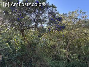 [P14] Rezervația Costanera Sur » foto by AZE
 - 
<span class="allrVoted glyphicon glyphicon-heart hidden" id="av1533230"></span>
<a class="m-l-10 hidden" id="sv1533230" onclick="voting_Foto_DelVot(,1533230,6764)" role="button">șterge vot <span class="glyphicon glyphicon-remove"></span></a>
<a id="v91533230" class=" c-red"  onclick="voting_Foto_SetVot(1533230)" role="button"><span class="glyphicon glyphicon-heart-empty"></span> <b>LIKE</b> = Votează poza</a> <img class="hidden"  id="f1533230W9" src="/imagini/loader.gif" border="0" /><span class="AjErrMes hidden" id="e1533230ErM"></span>